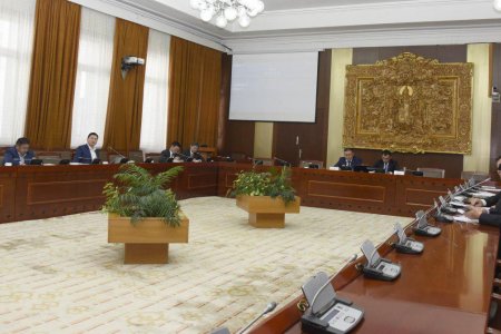 Гуалингаас бусад түлшний модыг гааль, НӨАТ-аас чөлөөлөх саналыг дэмжлээ