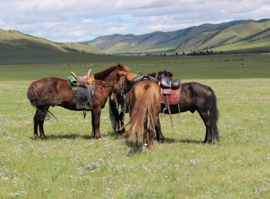 Horse riding Orkhon valley