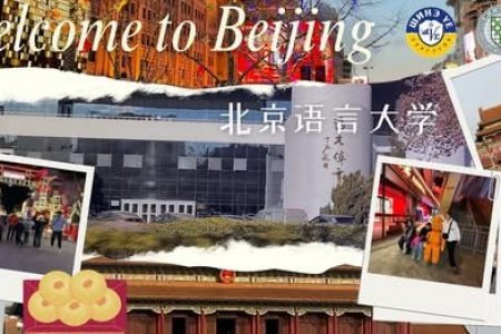 BEIJING LANGUAGE CULTURAL PROGRAM