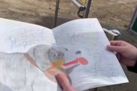 ОХУ-д дайныг эсэргүүцэж буйгаа зургаар илэрхийлсэн 12 настай охины асран хамгаалагч буюу аавд нь шүүхээс хоёр жилийн  хорих ял ногдуулжээ