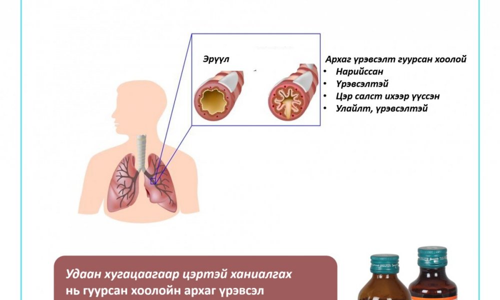 Тамхи татдаг бол жилд ядаж 1 удаа уушгиа цэвэрлэ