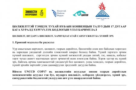 ЦӨЛЖИЛТТЭЙ ТЭМЦЭХ ТУХАЙ НҮБ-ЫН КОНВЕНЦЫН ТАЛУУДЫН 17 ДУГААР  БАГА ХУРАЛД ХҮРГҮҮЛЭХ БОДЛОГЫН ҮЗЭЛ БАРИМТЛАЛ 