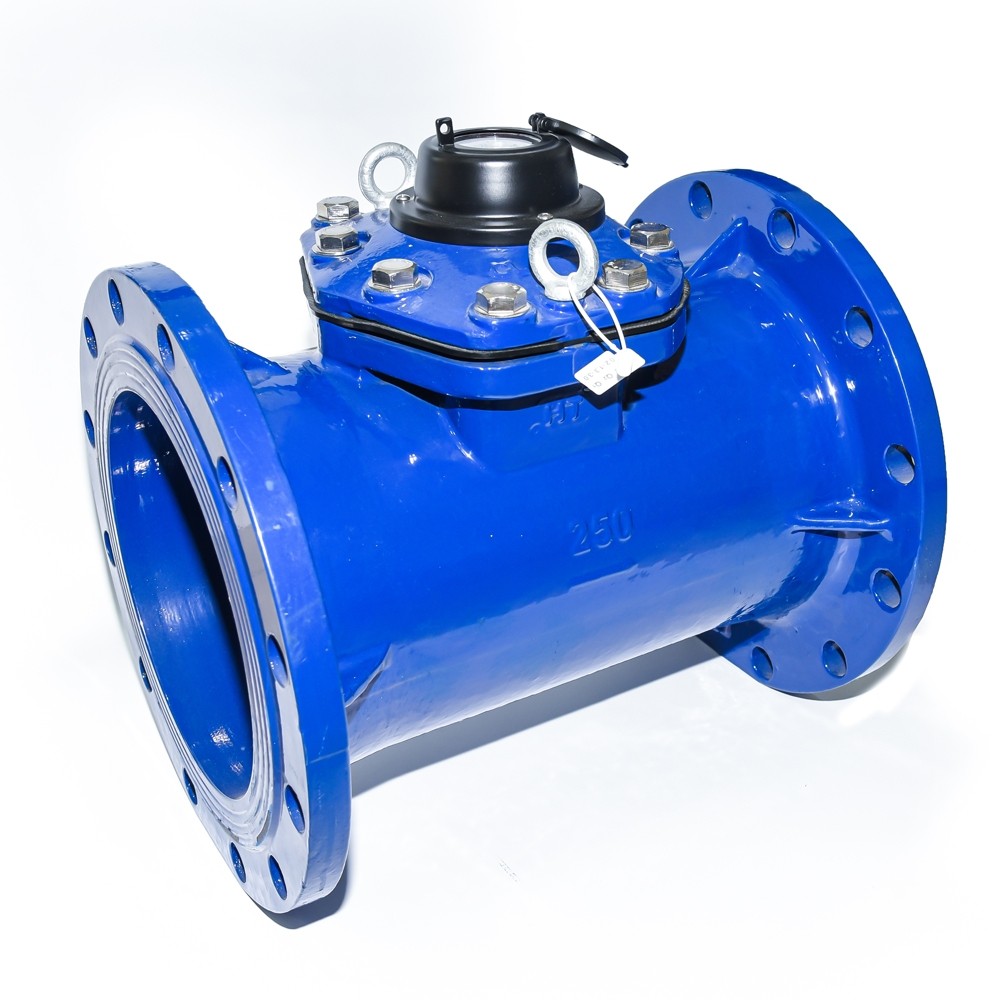 Хүйтэн усны тоолуур /DN250-LXLC/