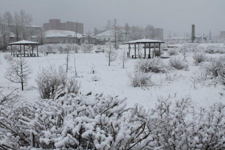 ЦУОШГ: Нутгийн зүүн хагаст хүйтний эрч чангарна