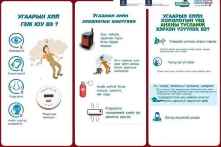 ЗӨВЛӨМЖИЙГ ДАГАЯ ЗӨВ ГАЛЛАЯ