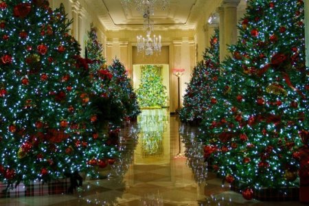 Цагаан ордон зул сарын баярт бэлэн болжээ