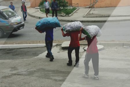 2018 ОНД ХИЙСЭН ШАЛГАЛТААР 495 ХҮҮХЭД ХӨДӨЛМӨР ЭРХЭЛСЭН БОЛ ҮҮНЭЭС 23 НЬ УУЛ УУРХАЙ, БАРИЛГЫН САЛБАРТ АЖИЛЛАЖ БАЙЖЭЭ