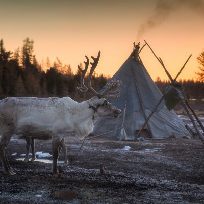 STEP INTO WEST TAIGA - North Mongolia 