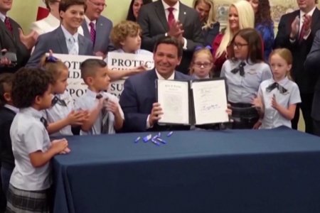 Өнгөрөгч лхагва гарагт АНУ-ын Флорида мужийн хууль тогтоогчид 12 болон түүнээс доош насны хүүхдэд бэлгийн хүчирхийлэл үйлдсэн этгээдэд цаазаар авах ял оноохыг хуулийн дагуу зөвшөөрлөө