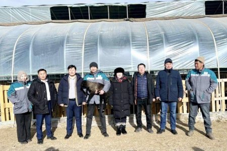 Шинээр томилогдсон элчин сайд нар Архангай, Өвөрхангай, Баянхонгор аймагт ажиллажээ