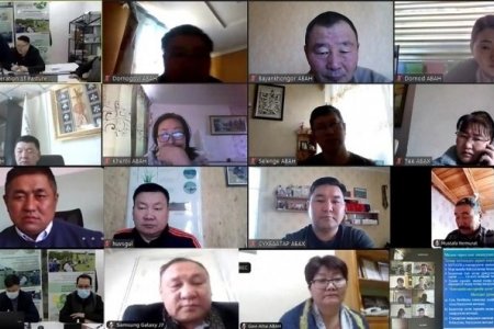 EXECUTIVE DIRECTORS OF AIMAG FEDERATION OF PASTURE USER GROUPS (AFED) PARTICIPATED ONLINE TRAINING FROM EIGHTEEN AIMAGS