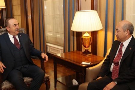 Элчин сайд Р.Болд Туркийн Гадаад хэргийн сайд Мевлүт Чавушолутай уулзав