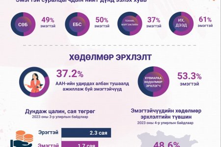 Монгол эмэгтэйчүүдийн 61 хувь нь дээд боловсрол эзэмшсэн ч тал гаруй хувь нь л хөдөлмөр эрхэлдэг