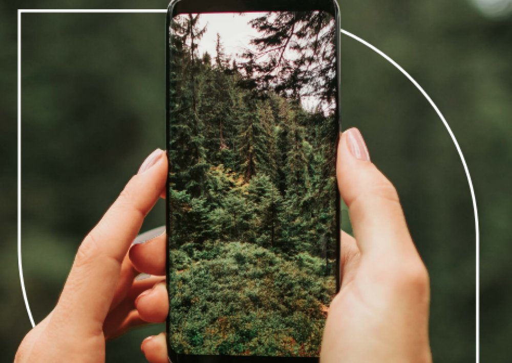 Nature Guidance for the Mobile Industry