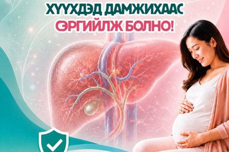 Жирэмсэн ээжийн мэдэх ёстой нэг шинжилгээ: Гепатит В хүүхдэд дамжихаас сэргийлж болно.
