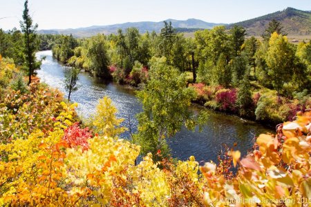 Ойрын өдрүүдэд хүйтний эрч суларч, өдөртөө дулаарна