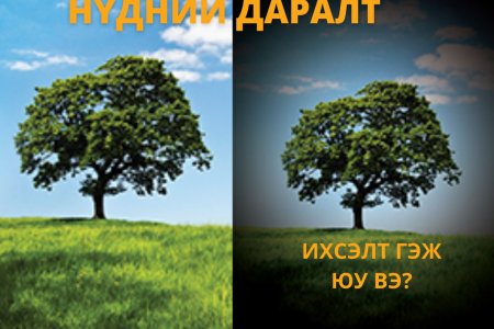 НҮДНИЙ ДАРАЛТ ИХСЭЛТ ЗӨВЛӨМЖ-3