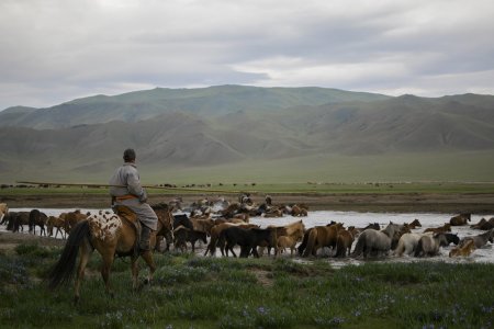 Газар нутгийн ихэнх хувь бэлчээрийн даацгүй болсон тул малчдын амьжиргааны түвшин баталгаагүй байна