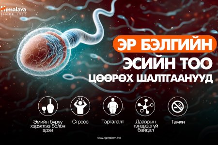 Эр бэлгийн эсийн тоо яагаад цөөрдөг вэ?