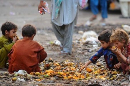 Баруун Африк тивийн орнуудад хүнсний ноцтой хямрал нүүрлээд байна