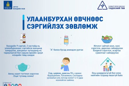 УЛААНБУРХАН ӨВЧНӨӨС СЭРГИЙЛЭХ ЗӨВЛӨМЖ