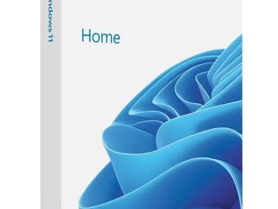 Microsoft Windows 11 Home (One-time purchase for PC)