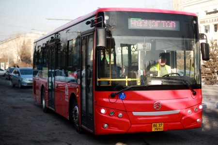 Элсэлтийн ерөнхий шалгалт өгөх сурагчдад нийтийн тээвэр үнэгүй үйлчилнэ