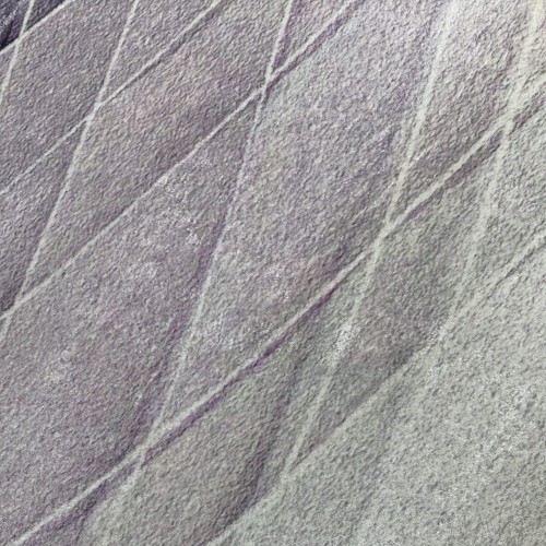 sec image