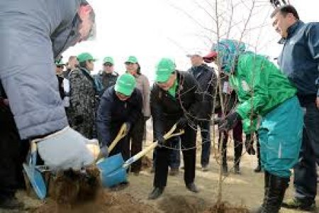 ӨНӨӨДӨР БҮХ НИЙТЭЭРЭЭ МОД ТАРЬЖ БАЙНА