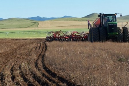 Хаврын тариалалт улсын хэмжээнд 60 хувьтай байна