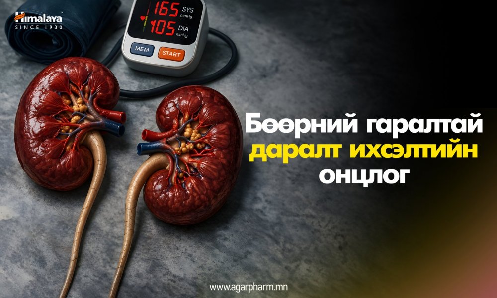 Бөөрний даралт ихсэлт