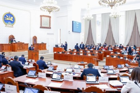 Бизнесийн эрх чөлөөний тухай хуулийн төслийг Улсын Их Хурал хэлэлцэхийг дэмжлээ