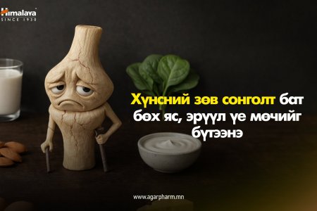 Зөв хооллолт – бат бөх яс, уян үеийн нууц зэвсэг