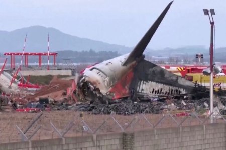 БНСУ-ын “Jeju Airlines” компанийн осолдсон онгоцны хоёр хөдөлгүүрээс нугас шувууны сэг олджээ