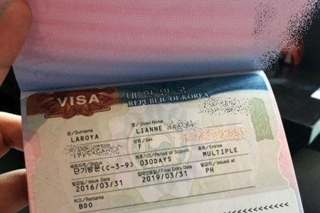 БНСУ-ын Хууль зүйн яамнаас 30 иргэнд Е-9 ангиллын Цахим визийн зөвшөөрөл олгохоос татгалзжээ