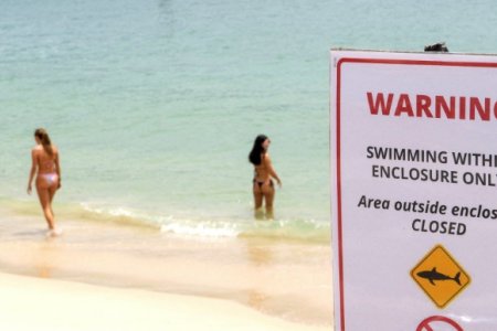 Австралийн Сиднейд хоёр хоногийн дотор гурван хүн аварга загасанд хазуулжээ