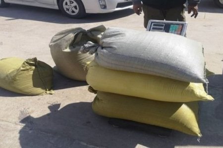  Ачааны машиндаа 110 кг дэрвэгэр жиргэрүү нууж хил нэвтрүүлэхийг завджээ