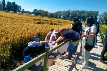 Залайд хошуу: Будааны тариалалт, загас үржүүлгийн хосолсон хэлбэрээс өндөр ашиг хүртэж байна