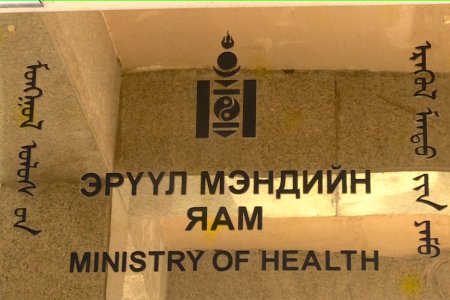 Монгол улсын 15-69 насны хүн амын 31 хувь нь илүүдэл жинтэй байна