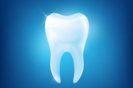 Шүдний тухай 14 сонирхолтой баримт