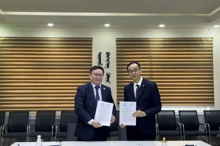  ДОРНОД АЙМГИЙН ПОЛИТЕХНИК КОЛЛЕЖТОЙ ХАМТРАН АЖИЛЛАХ ГЭРЭЭНД ГАРЫН ҮСЭГ ЗУРЛАА