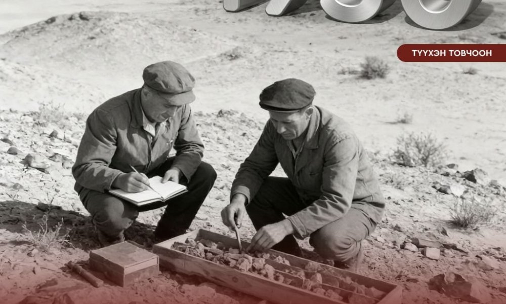 НЭГЭН ЖАРНЫ ТҮҮХЭН ТОВЧООН