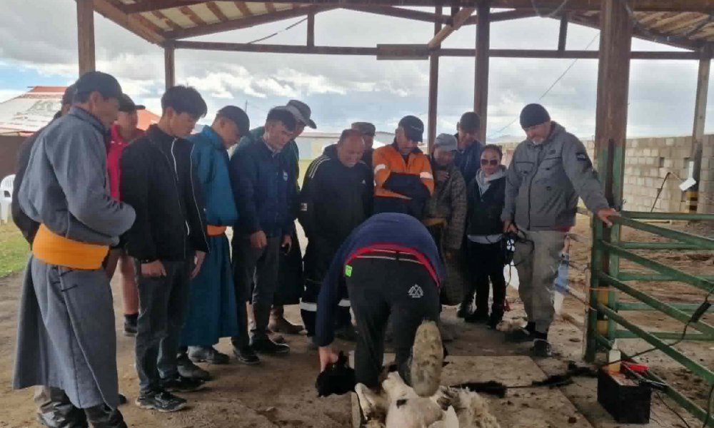ЦАХИЛГААН ХАЙЧААР ХОНЬ ХЯРГАХ, НООС АНГИЛАН ЯЛГАХ СУРГАЛТ ЗОХИОН БАЙГУУЛАГДАЖ БАЙНА.