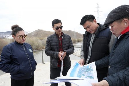 Үндэсний цэцэрлэгт хүрээлэнд “Наран шарлагын газар