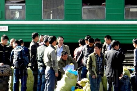Гадаадын иргэдийн 52.4% нь хөдөлмөр эрхлэх зорилгоор оршин сууж байна