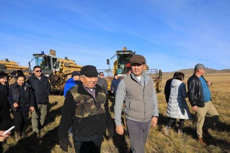 Ш.Оргил: Сэлэнгэ аймагт ургац хураалт 46 хувьтай байна