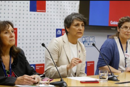 Чили улсад шувууны томуу хүнд халдварласан анхны тохиолдол бүртгэгджээ