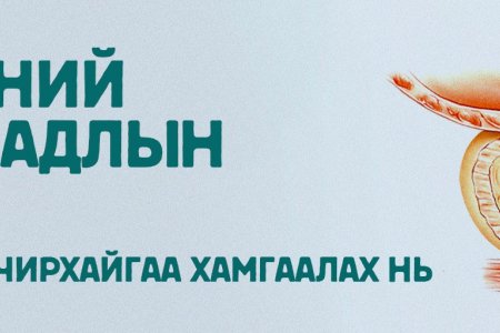 Сэрүүлэг болсон биеийн дохио 