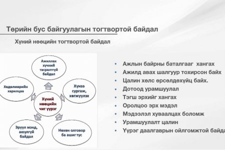 Online training 13: NGO sustainability/ТББ-ын тогтвортой байдал