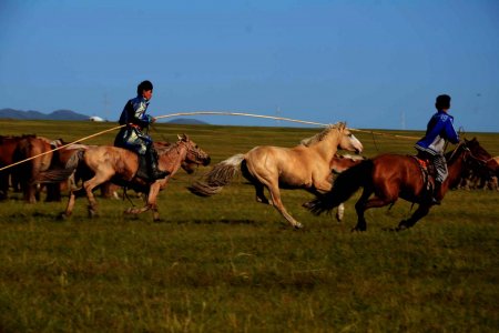 12 Reasons to visit Mongolia